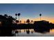 Silhouette of palm trees against an orange sunset reflecting in the water at 4346 Marine Pkwy, New Port Richey, FL 34652