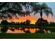 Charming view of a pond reflecting a colorful sunset, framed by lush greenery and a palm tree at 7501 Cumberland Rd # 22, Seminole, FL 33777