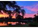 Breathtaking view of a colorful sunset, complemented by a palm tree silhouette and a reflective pond at 7501 Cumberland Rd # 22, Seminole, FL 33777