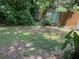 Backyard with wooden fence and overgrown vegetation at 8004 N 11Th St, Tampa, FL 33604