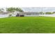 Large grassy backyard with a spacious deck at 1613 Druid E Rd, Clearwater, FL 33756