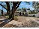 House exterior with large tree and gazebo at 3005 E Shadowlawn Ave, Tampa, FL 33610