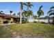 Landscaped backyard with grassy area and palm trees at 311 15Th Ave, Indian Rocks Beach, FL 33785