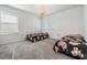 Cozy bedroom features neutral colors, carpet, and ample natural light at 3888 Almond Brook Blvd, Land O Lakes, FL 34638