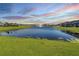 Scenic view of a pond with a fountain and algae growth near the bank in a residential community at 3888 Almond Brook Blvd, Land O Lakes, FL 34638