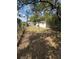 Large backyard, great for outdoor activities, complemented by trees, fencing, and a detached garage at 10120 N Aster Ave, Tampa, FL 33612