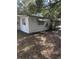 Exterior view of home featuring siding, windows and lawn at 10120 N Aster Ave, Tampa, FL 33612