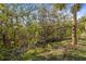 Natural backyard area with dense vegetation, providing a private and serene setting at 1021 Seagrape Dr, Ruskin, FL 33570