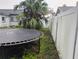 Fenced in backyard with a large trampoline and mature trees at 12368 70Th St, Largo, FL 33773