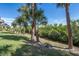 Tranquil backyard oasis with tropical palm trees and well-manicured lawn at 1442 Harbour Walk Rd, Tampa, FL 33602