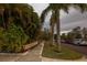 Charming street view showcasing mature palm trees lining a street at 145 10Th N Ave # 8, St Petersburg, FL 33701