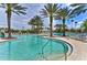 Zero entry, resort style community pool with many palm trees and lounge chairs at 14543 Mirabelle Vista Cir, Tampa, FL 33626