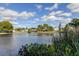 Picturesque lake view surrounded by lush green foliage at 2559 Stony Brook Ln, Clearwater, FL 33761