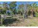 View of backyard with mature trees, shed, and a garden area at 3512 Haines N Rd, St Petersburg, FL 33704