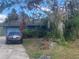 Ranch home with a carport and overgrown landscaping at 3602 Southview Ct, Brandon, FL 33511