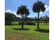 Picturesque view of a pond with two palm trees in a lush green lawn on a sunny day at 36750 Us Highway 19 N # 17-111, Palm Harbor, FL 34684