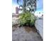 Backyard area featuring a mature palm tree, stone bench, and privacy fence at 50 Acacia St, Clearwater Beach, FL 33767