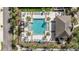 Aerial view of a modern community pool with lounge chairs and palm trees for relaxing at 5507 Cumberland Star Ct, Lutz, FL 33558