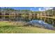 Scenic view of a calm pond surrounded by lush greenery and trees on a clear day at 5507 Cumberland Star Ct, Lutz, FL 33558