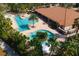 Aerial view of community pool featuring palm trees, covered seating, and an island pool at 11309 Callisia Dr, Odessa, FL 33556