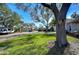 Quiet residential street lined with mature trees and lush green lawns in a serene neighborhood at 3621 S Belcher Dr, Tampa, FL 33629