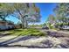 Street view of a neighborhood featuring mature trees and well-maintained lawns at 3621 S Belcher Dr, Tampa, FL 33629