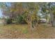 Spacious property lot with mature trees and ample space, offering great potential for development at 3623 Whittier St, Tampa, FL 33619