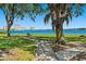 Shady park with benches and sidewalks near the waterfront and community buildings at 6268 Palma Del Mar S Blvd # 101, St Petersburg, FL 33715