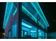Stunning architectural design with blue ambient lighting, enhancing the modern exterior facade at night at 6536 Simone Shores Cir, Apollo Beach, FL 33572