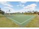 A community basketball court with a green surface and clear markings at 9142 Lake Chase Island Way # 9142, Tampa, FL 33626