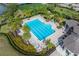 Aerial view of a rectangular community pool with lap lanes, surrounded by palm trees and lounge chairs at 10063 Celtic Ash Dr, Ruskin, FL 33573