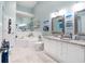 Bright bathroom with double vanity, granite countertops, garden tub and decorative wall art at 102 Brent Cir, Oldsmar, FL 34677