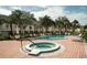 Community pool and hot tub area with lounge chairs, tables, and mature landscaping at 102 Brent Cir, Oldsmar, FL 34677