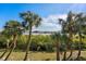 Picturesque water view showcasing lush landscaping with palm trees and scenic outdoor beauty at 1440 Harbour Walk Rd, Tampa, FL 33602