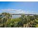 Scenic waterfront views with palm trees and blue skies at 1440 Harbour Walk Rd, Tampa, FL 33602