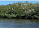 Waterway with birds in the trees at 14413 Birch St, Hudson, FL 34667