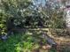 Overgrown backyard with a concrete border and dense foliage at 1911 E Noel St, Tampa, FL 33610