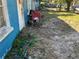 Overgrown front yard with a shopping cart and garden hose near a blue building at 1911 E Noel St, Tampa, FL 33610