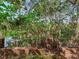 Lush backyard view of a brick wall, black iron fence, and mature trees with Spanish moss, enhancing the property's charm at 5001 S Shore Crest Cir, Tampa, FL 33609