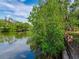 Lush green foliage framing a tranquil waterfront view with serene water and clear skies in the background at 5001 S Shore Crest Cir, Tampa, FL 33609