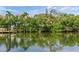 Scenic waterfront view showcasing lush greenery reflected in the tranquil water at 5001 S Shore Crest Cir, Tampa, FL 33609