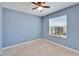 Bedroom featuring a window, carpet, blue walls, and a ceiling fan at 6929 Breezy Palm Dr, Riverview, FL 33578