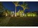 This spacious backyard features a variety of palm trees and colorful professional landscape lighting at 7432 Paradiso Dr, Apollo Beach, FL 33572