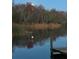 Serene view of a tranquil pond and trees reflecting moonlight at 10562 99Th St, Largo, FL 33773