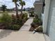 Wide concrete walkway showcasing lush landscaping with flowers and shrubs at 10646 Pepper Dawn Cir, San Antonio, FL 33576