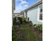 Landscaped side yard featuring a partial fence, mulch, and tropical foliage at 10646 Pepper Dawn Cir, San Antonio, FL 33576