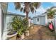 Well maintained, fenced backyard offers a shed for extra storage and mature landscaping, including a palm tree at 1211 Carolyn Ln, Clearwater, FL 33755