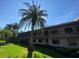 Exterior view of the building with a large palm tree in the foreground and well-maintained lawn at 2070 Lakeview Dr # 206, Clearwater, FL 33763