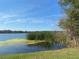 Picturesque lake view featuring lush vegetation and serene waters, perfect for nature enthusiasts at 2070 Lakeview Dr # 206, Clearwater, FL 33763