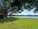 Enjoy the calming view of the lake surrounded by trees at 2070 Lakeview Dr # 206, Clearwater, FL 33763